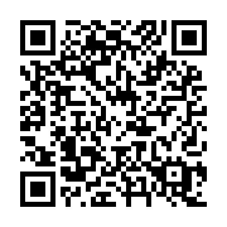 QR code for plate 650-IAE