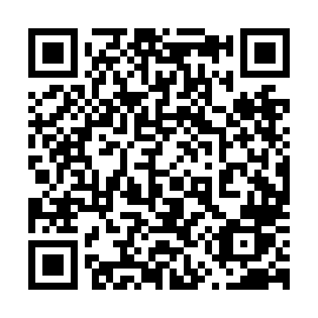QR code for plate 650-NLR