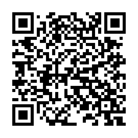 QR code for plate 653-DFW