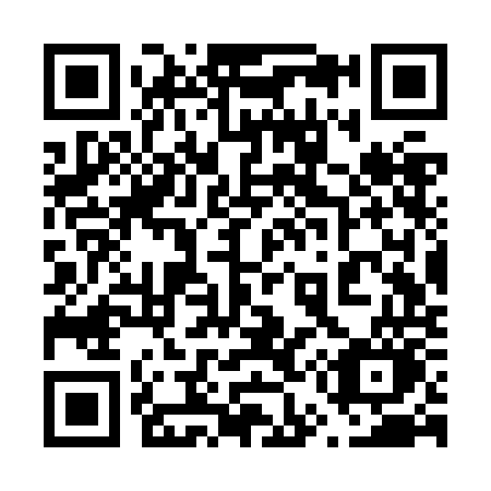 QR code for plate 653-ZOO