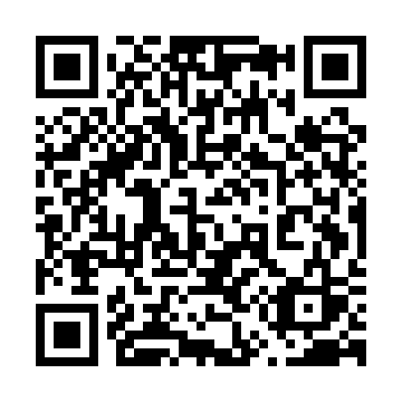 QR code for 655-ASS