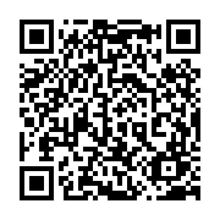 QR code for 655-PVT