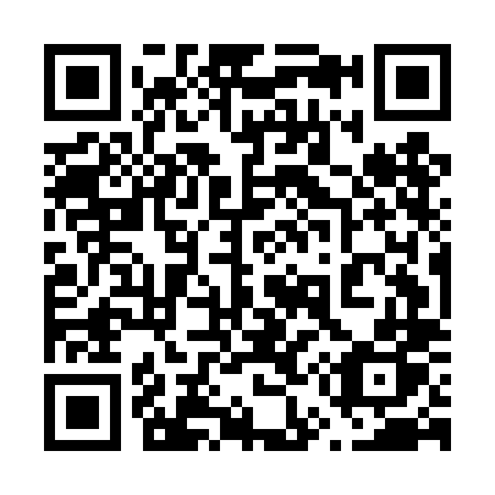 QR code for 655DLP