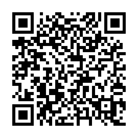 QR code for 655MAI