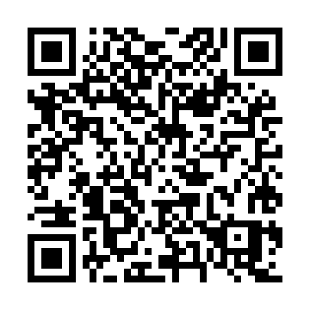 QR code for 655MHS