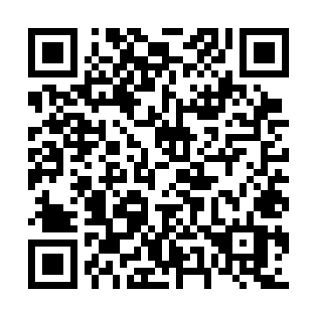 QR code for 655SMT