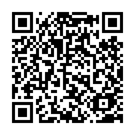 QR code for plate 656-TIE