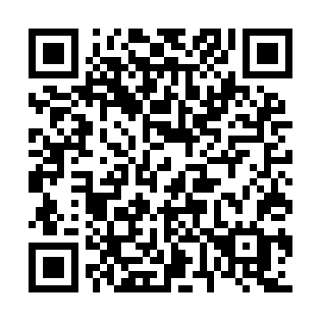QR code for plate 665-IDG