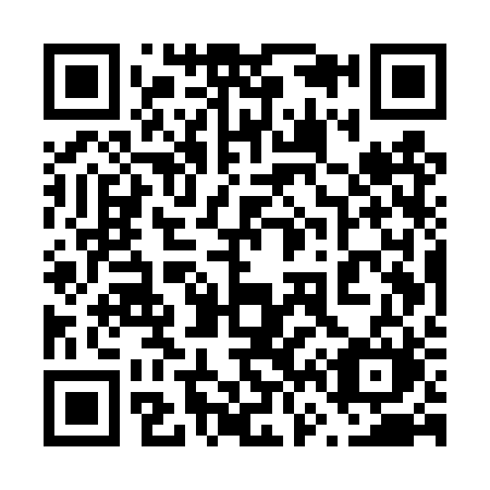 QR code for plate 665-TRM
