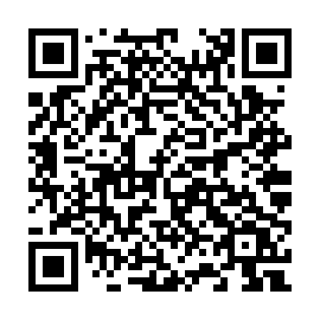 QR code for plate 666-PPV