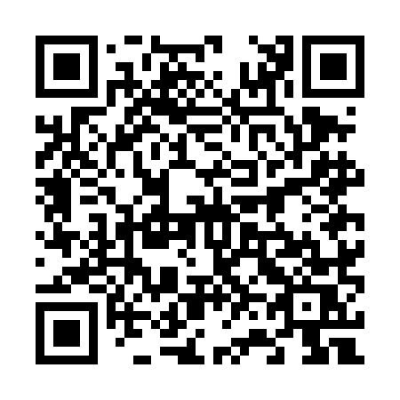 QR code for 667-DMS