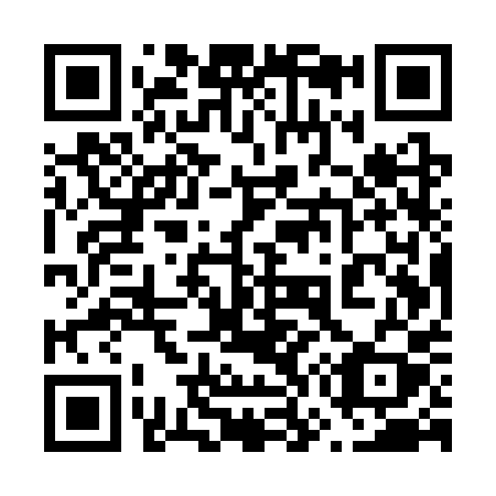 QR code for 675-SPY