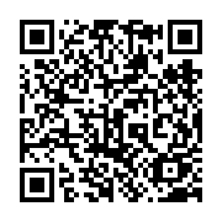 QR code for plate 675-VEU