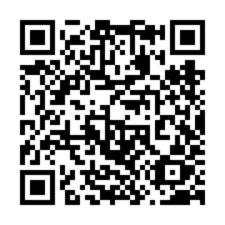 QR code for 676VIZ