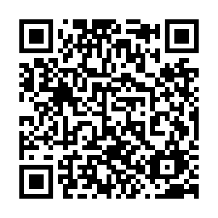 QR code for plate 685-NSG