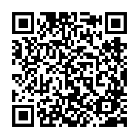 QR code for plate 689-VLO