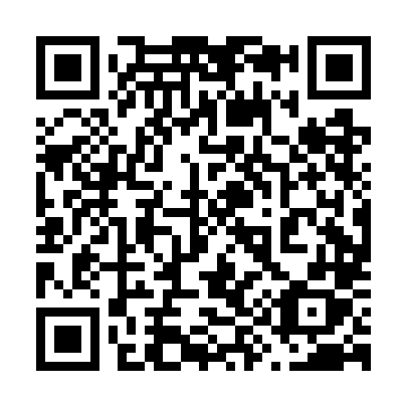 QR code for plate 690-GLX