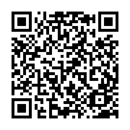 QR code for plate 690-OUR