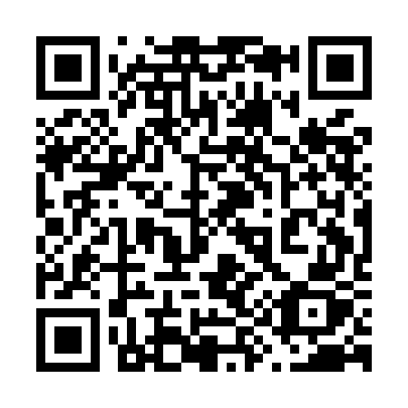 QR code for 691-MGZ