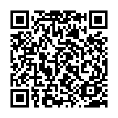 QR code for plate 691-MEP