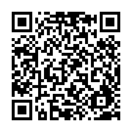 QR code for plate 691-PJF