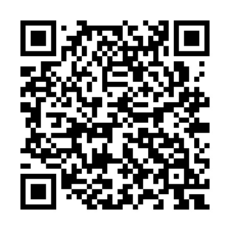 QR code for plate 691-SAN