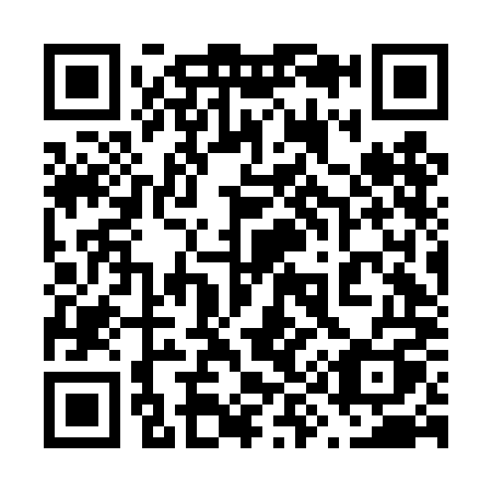 QR code for plate 696-DMQ