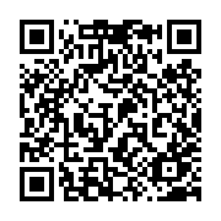 QR code for plate 696-TXT