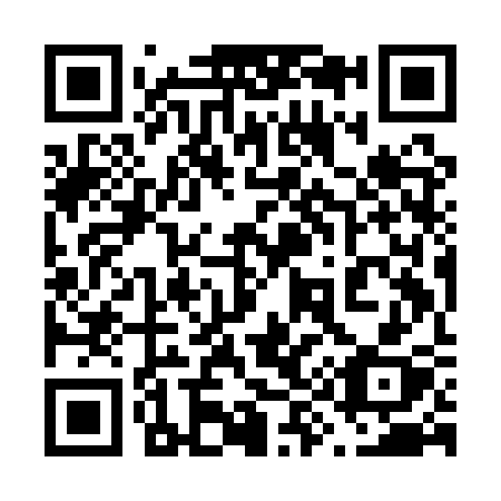 QR code for 699ASX