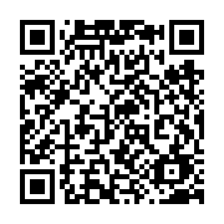 QR code for plate 699-FSD