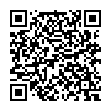 QR code for plate 699-IEO