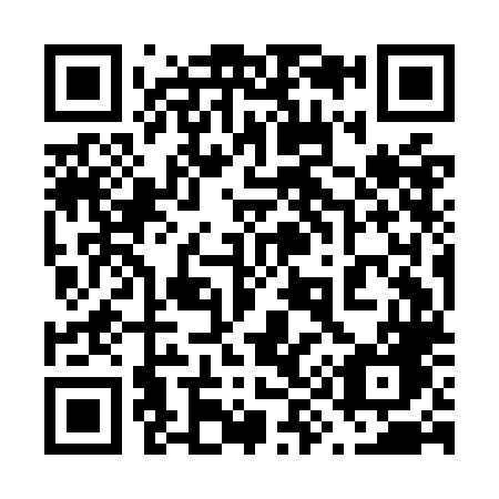 QR code for plate 699-OLG