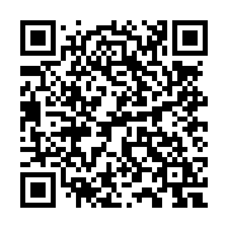QR code for plate 700-LSY