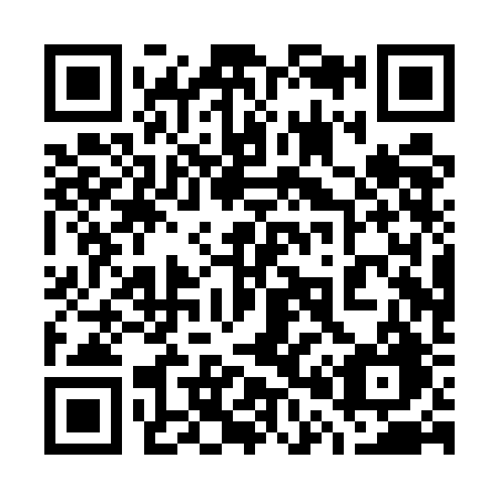 QR code for plate 700-UBG