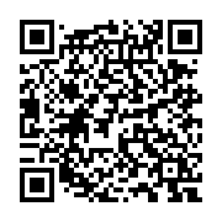 QR code for 703-DFX