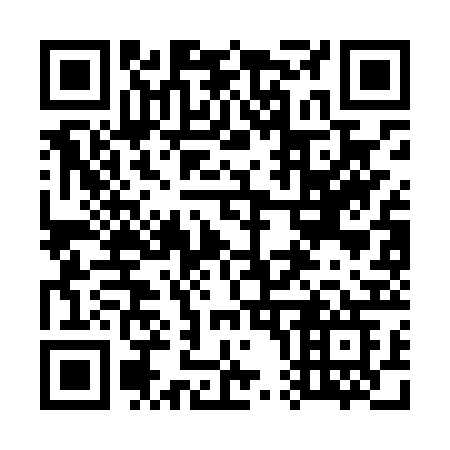 QR code for 703-LRG
