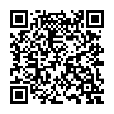 QR code for 729TIN