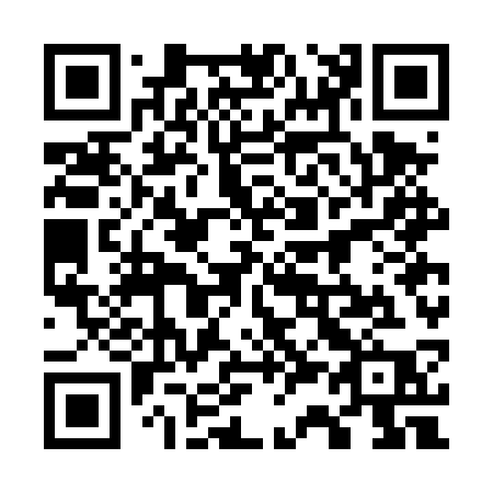 QR code for plate 737-DSP
