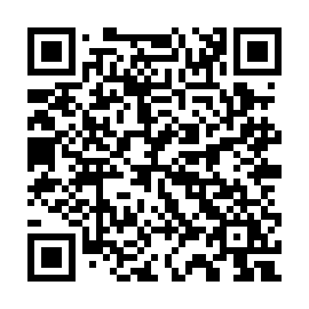 QR code for 738-PEY