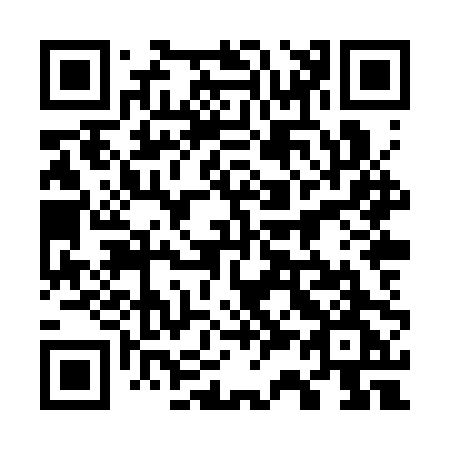 QR code for 738-SPG