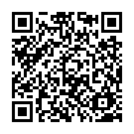 QR code for 738-WSG
