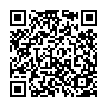 QR code for plate 738-DDU