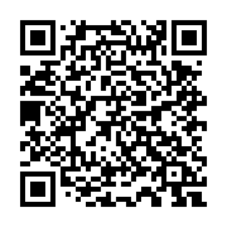 QR code for plate 738-DUC