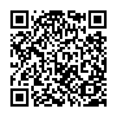 QR code for plate 738-GMP