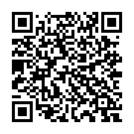 QR code for plate 738-PJF