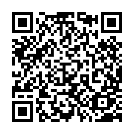 QR code for 738PMP