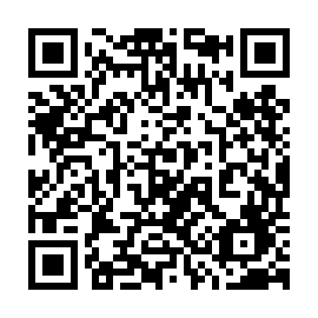 QR code for plate 738-TEF