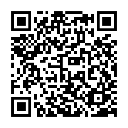 QR code for 743-MIS