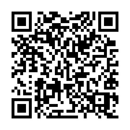 QR code for 805-SYS