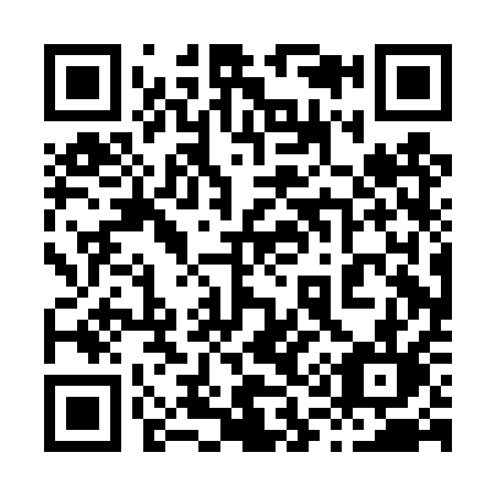 QR code for plate 810-DQL